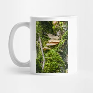 Mushrums on a Tree, Eriskircher Ried, Lake Constance Mug